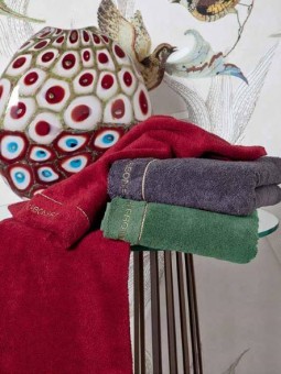 BORBONESE SET SPUGNA 1+1...