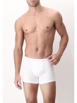 PEROFIL BOXER PARIGAMBA...