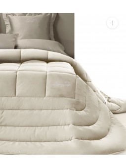 AEDES TRAPUNTA IN VELLUTO...