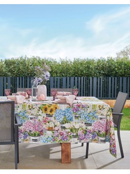 MAISON SUCREE TOVAGLIA O...