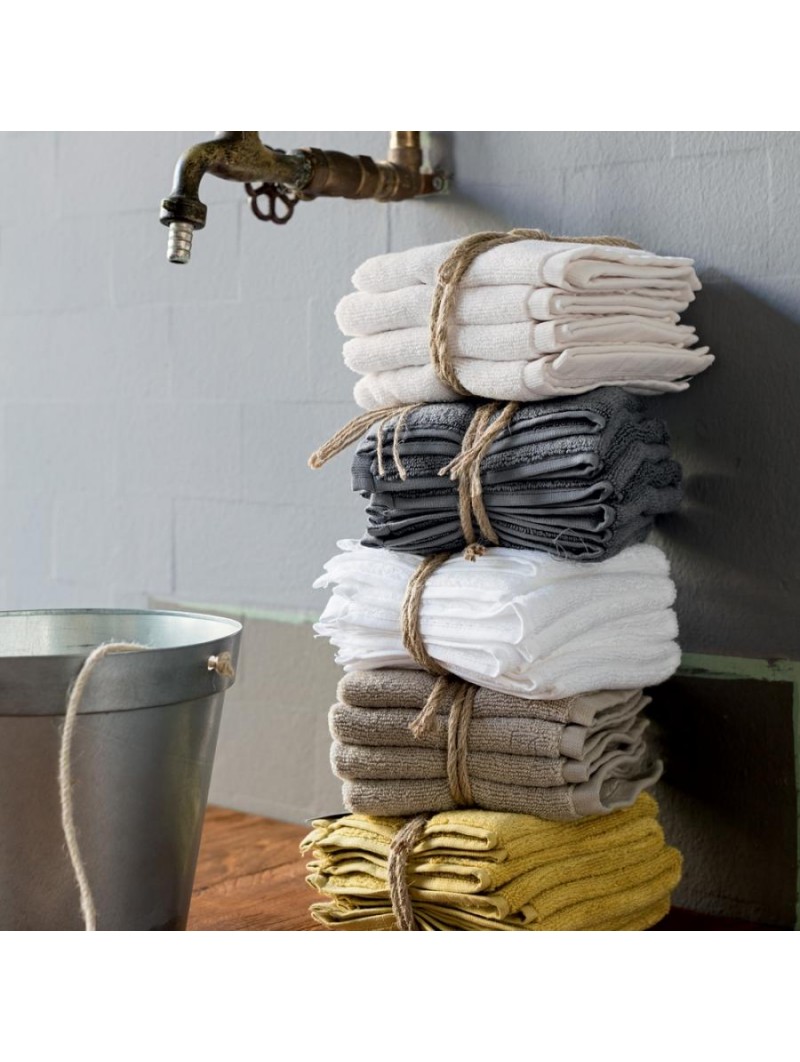 FAZZINI LAVETTE COCCOLA